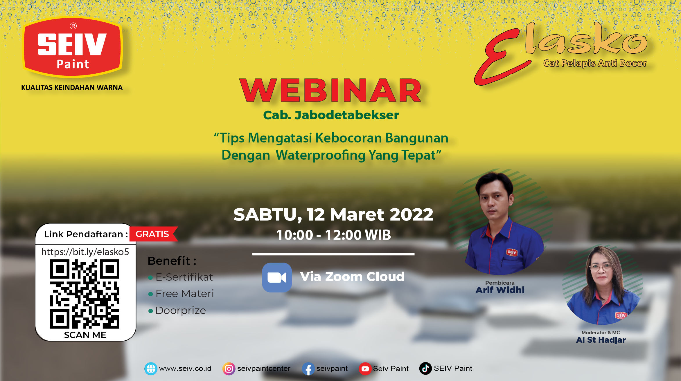 Webinar SEIV Paint