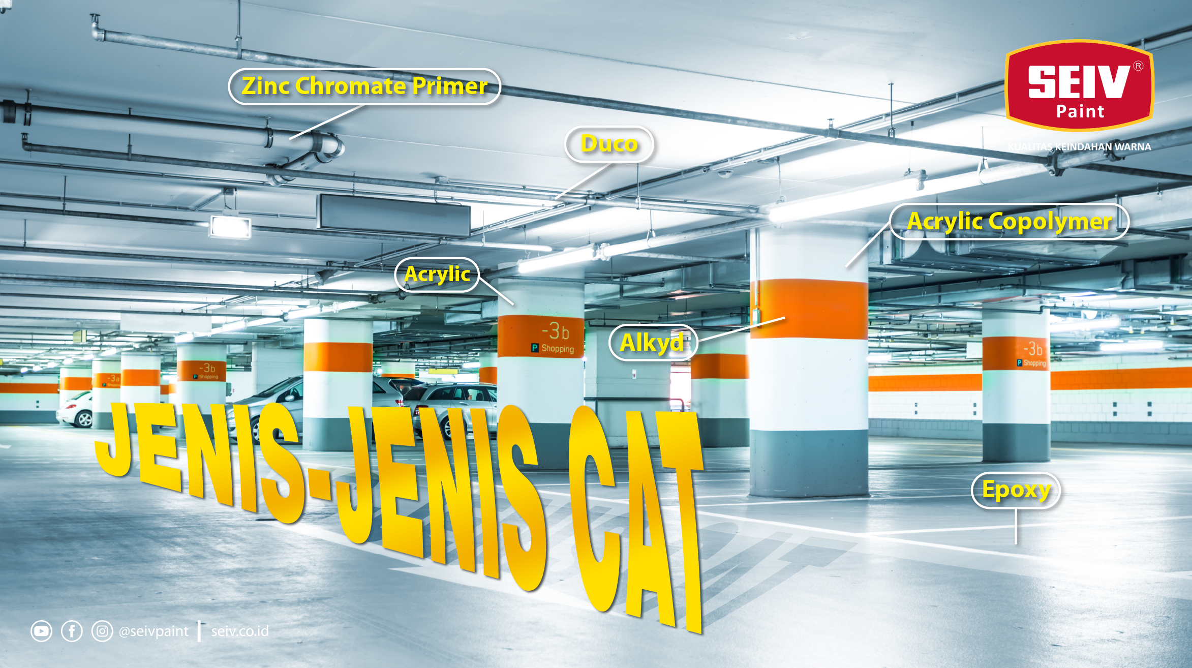 Kenali Jenis-Jenis Cat Agar Tidak Salah Pilih 